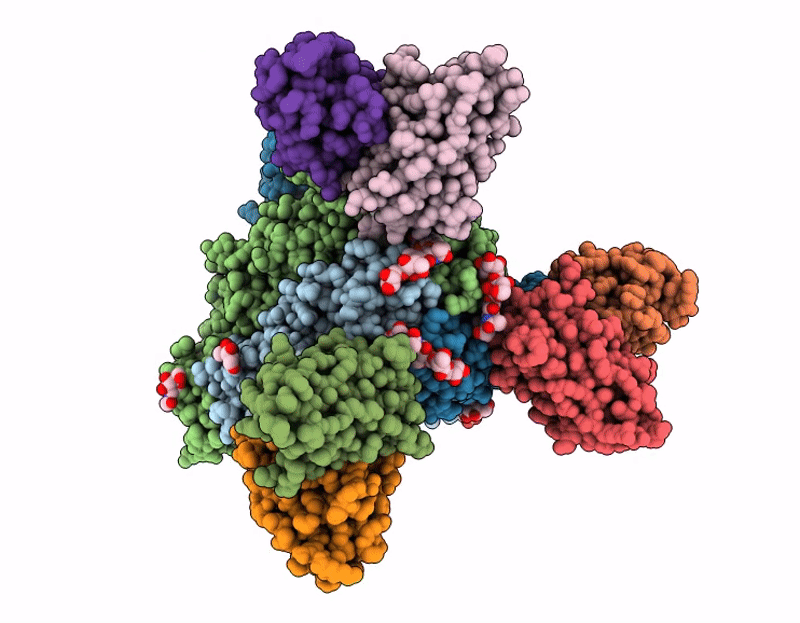 9CIN image