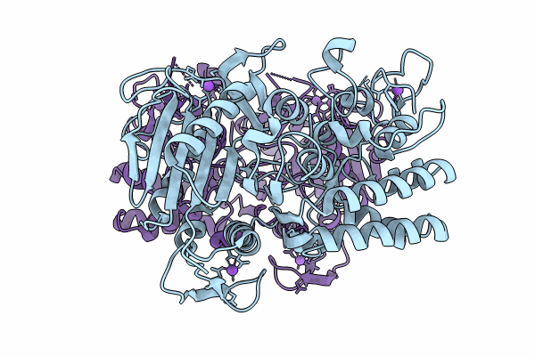 9CIP image