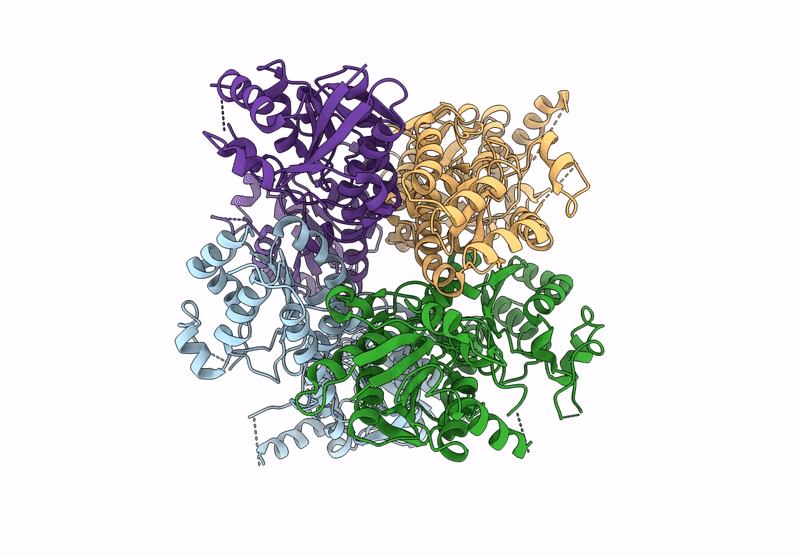 9CIR image