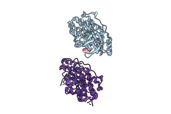 9CJ2 image