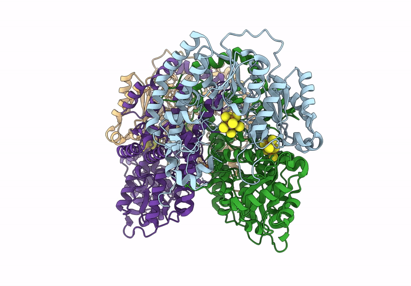 9CJB image