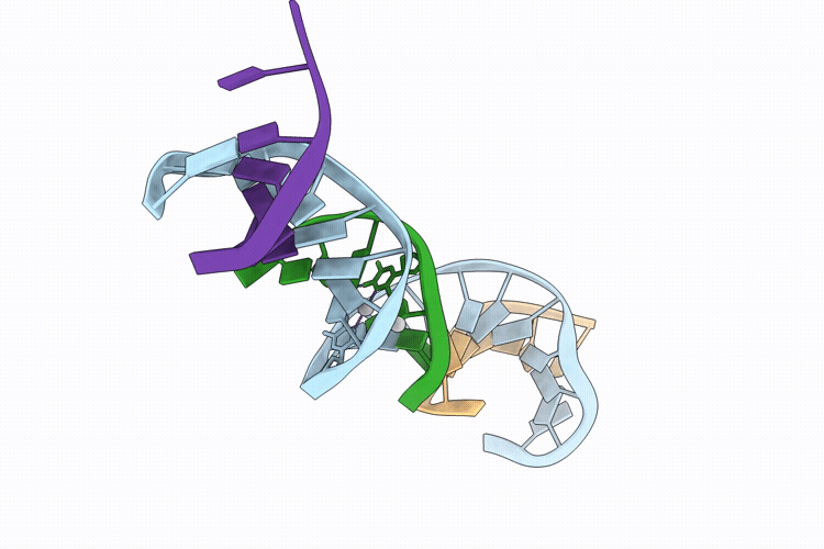 9CKD image