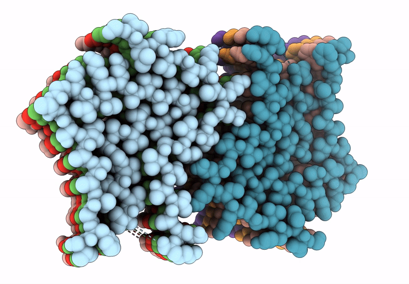 9CKL image