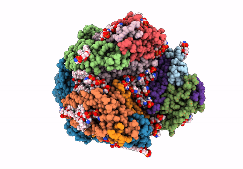 9CL2 image