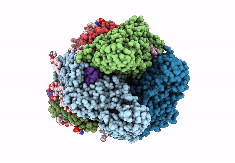 9CL3 image