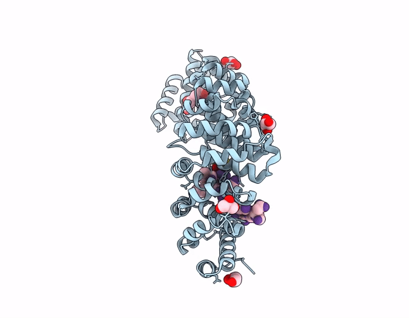 9CL8 image