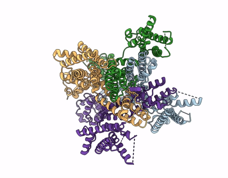 9CLA image