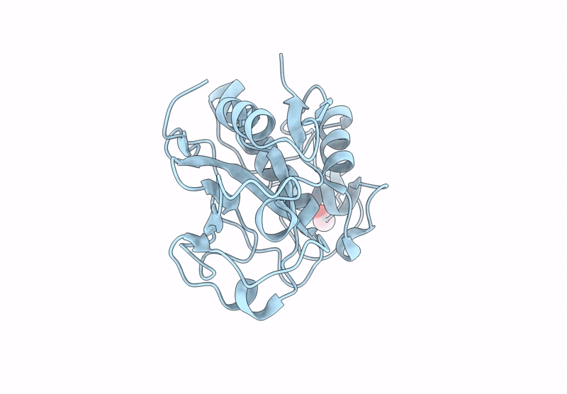 9CLH image