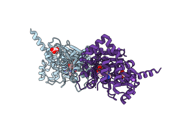 9CLL image