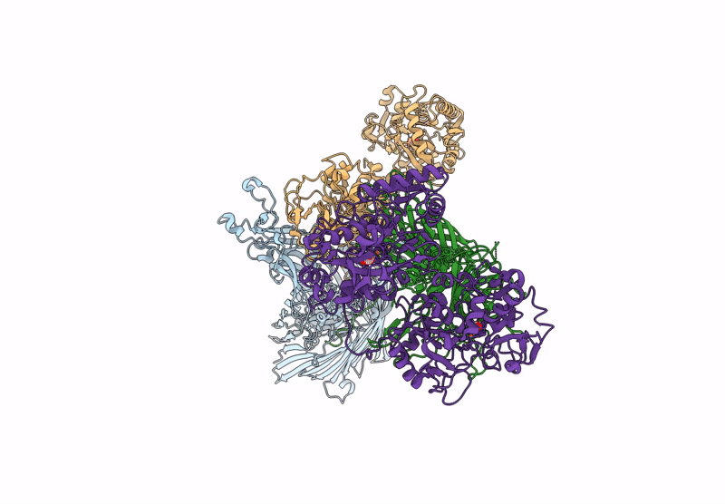 9CLM image