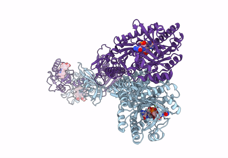 9CLO image