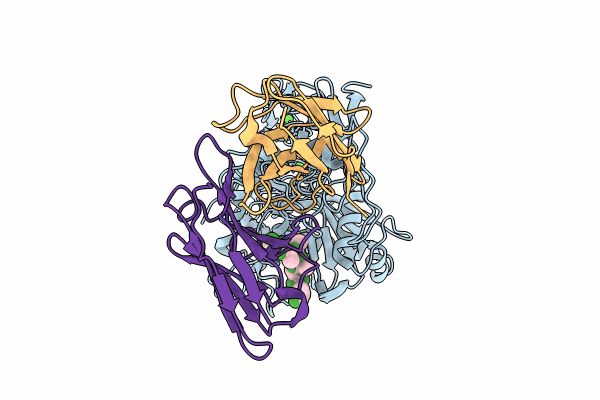 9CLP image