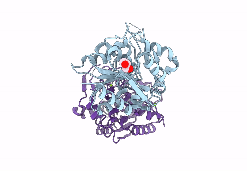 9CLR image