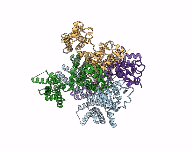 9CLV image