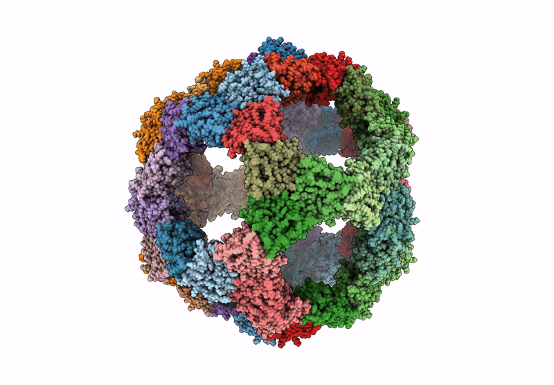 9CLZ image