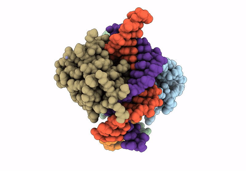 9CMB image