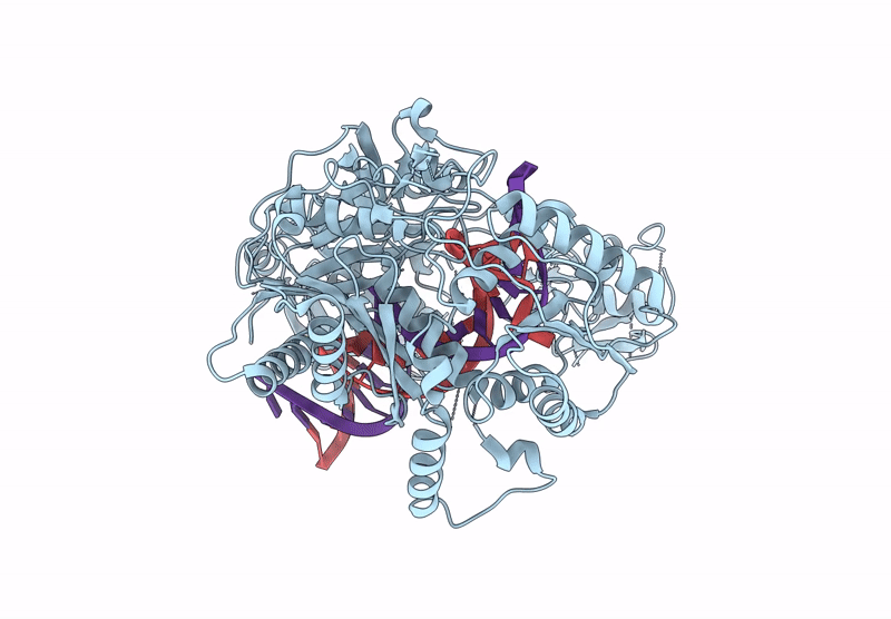 9CMP image
