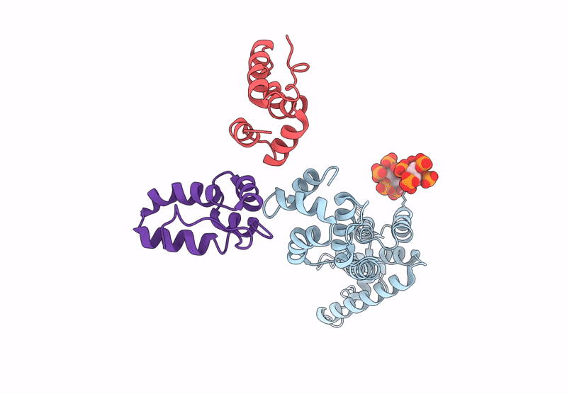 9CNS image