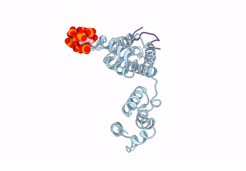 9CNV image