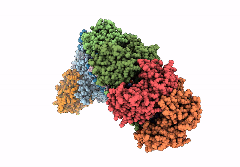 9CP1 image
