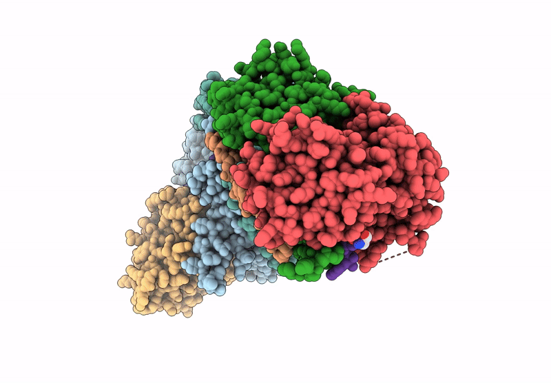9CP2 image
