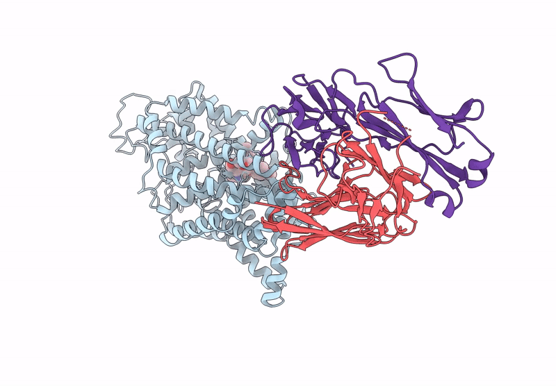 9CP4 image
