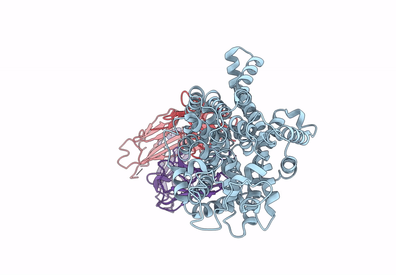 9CP5 image