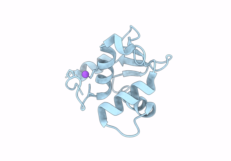 9CP6 image