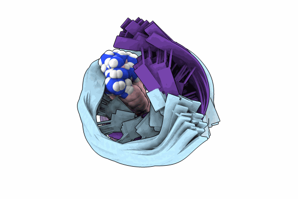 9CPG image