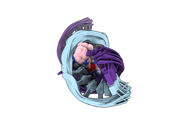 9CPI image