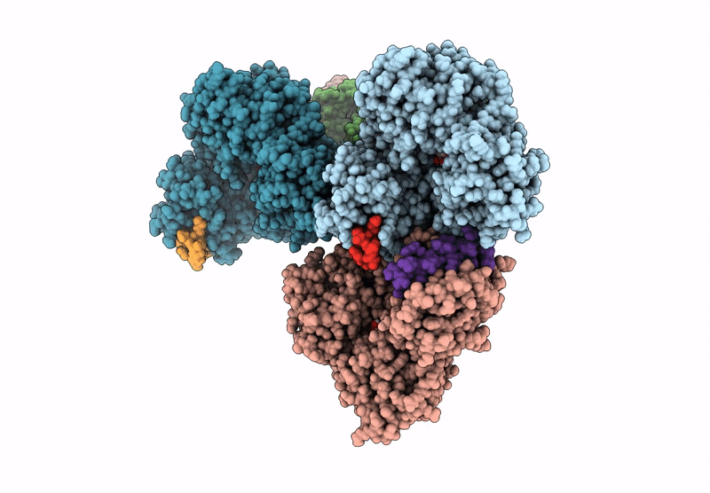 9CPN image