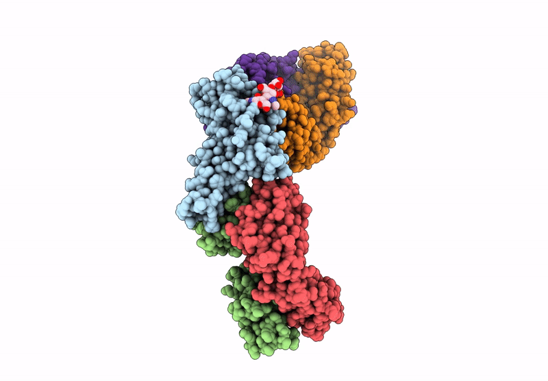 9CPX image