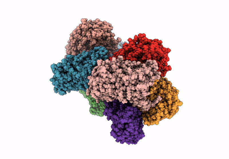 9CQF image