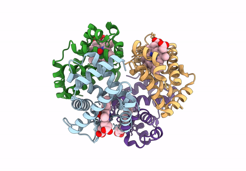 9CQU image