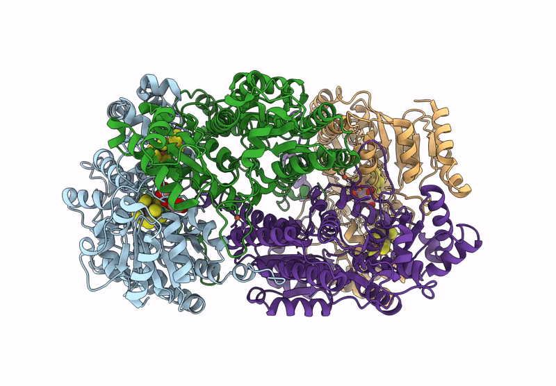 9CQX image