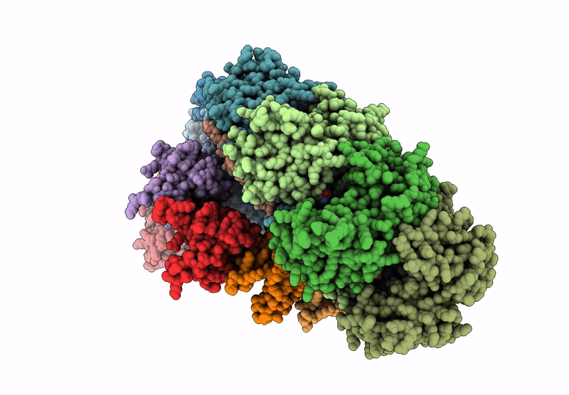9CRP image