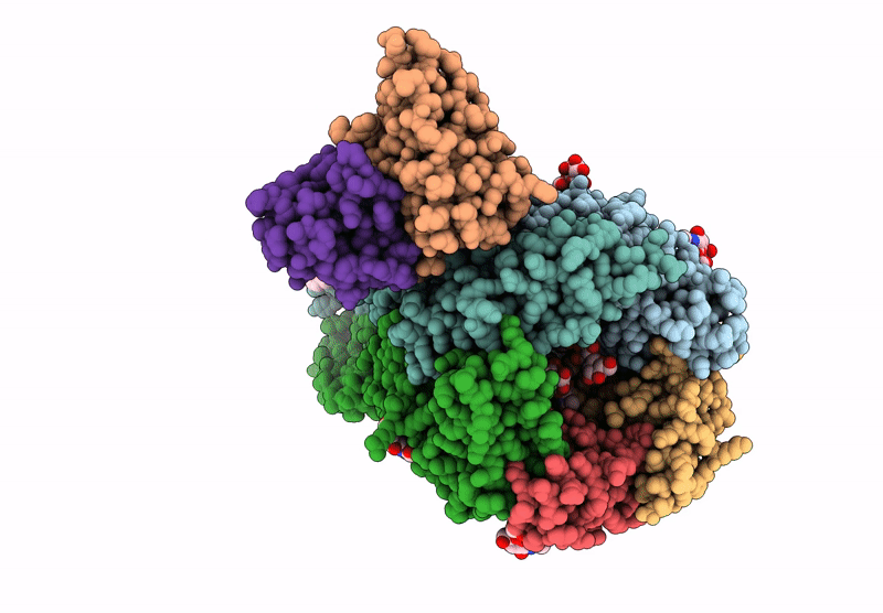 9CRV image