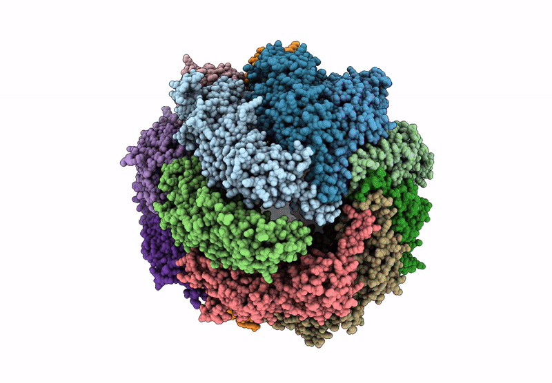9CS3 image