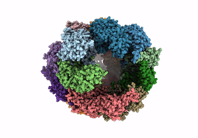9CS6 image