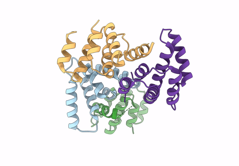 9CS8 image