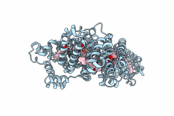 9CSG image