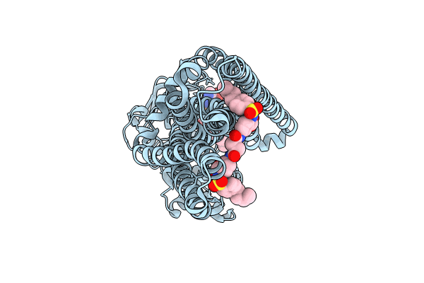 9CSI image