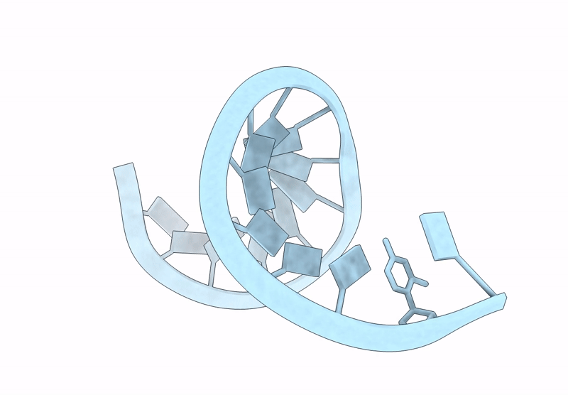 9CSO image
