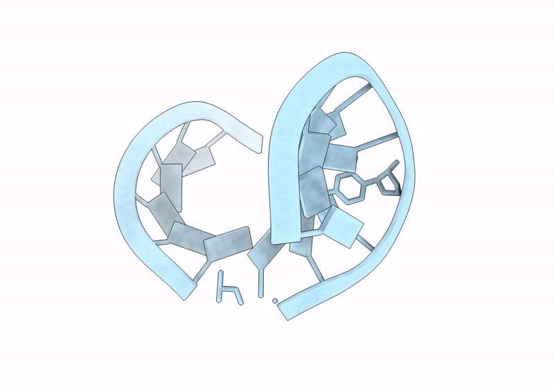 9CSR image