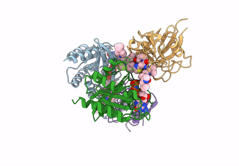 9CTA image