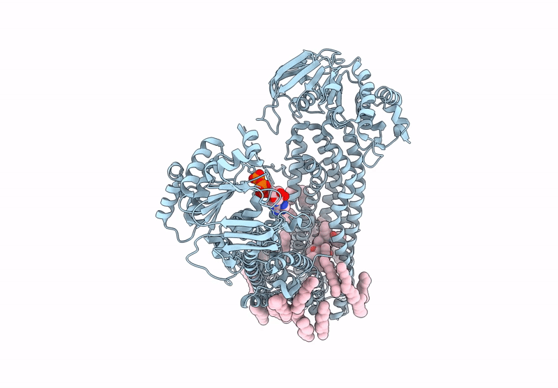 9CTF image