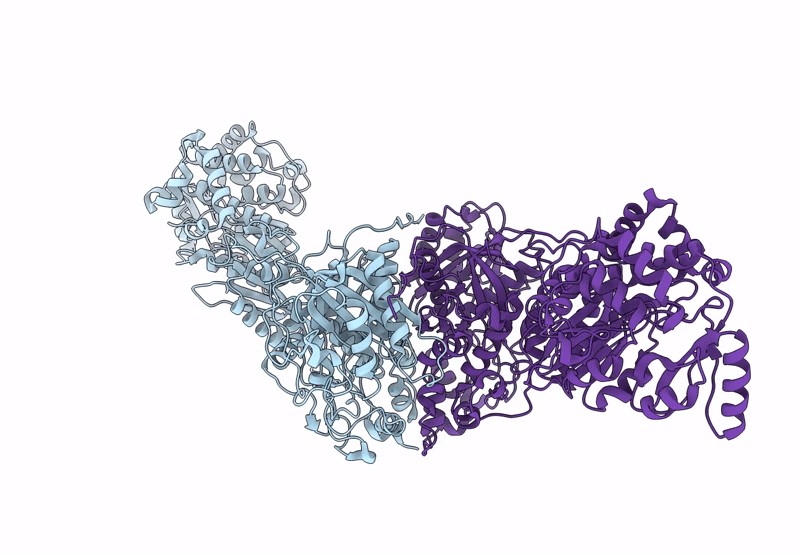 9CTM image