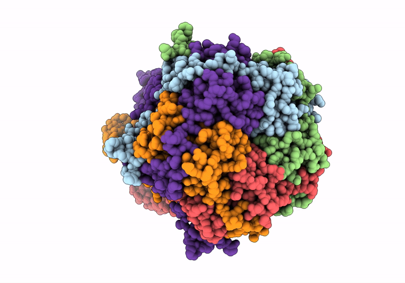 9CTT image