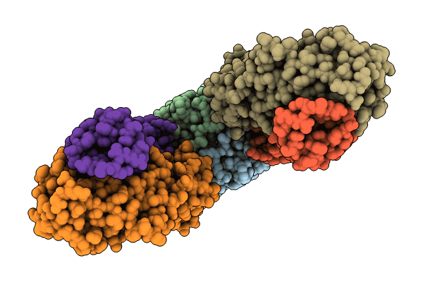 9CTU image