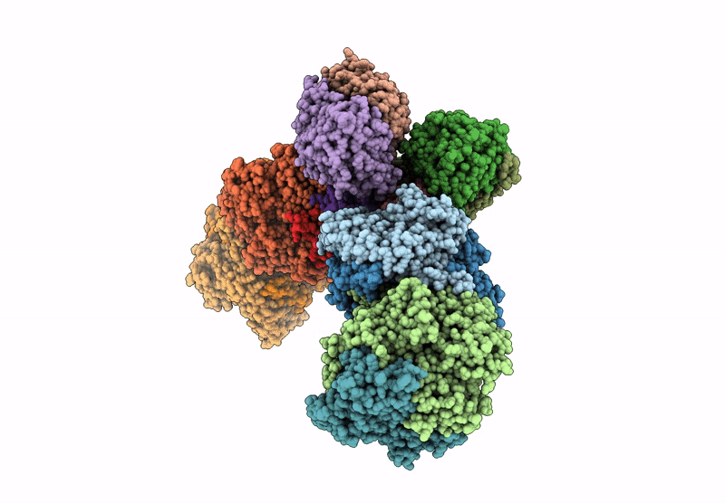 9CU1 image
